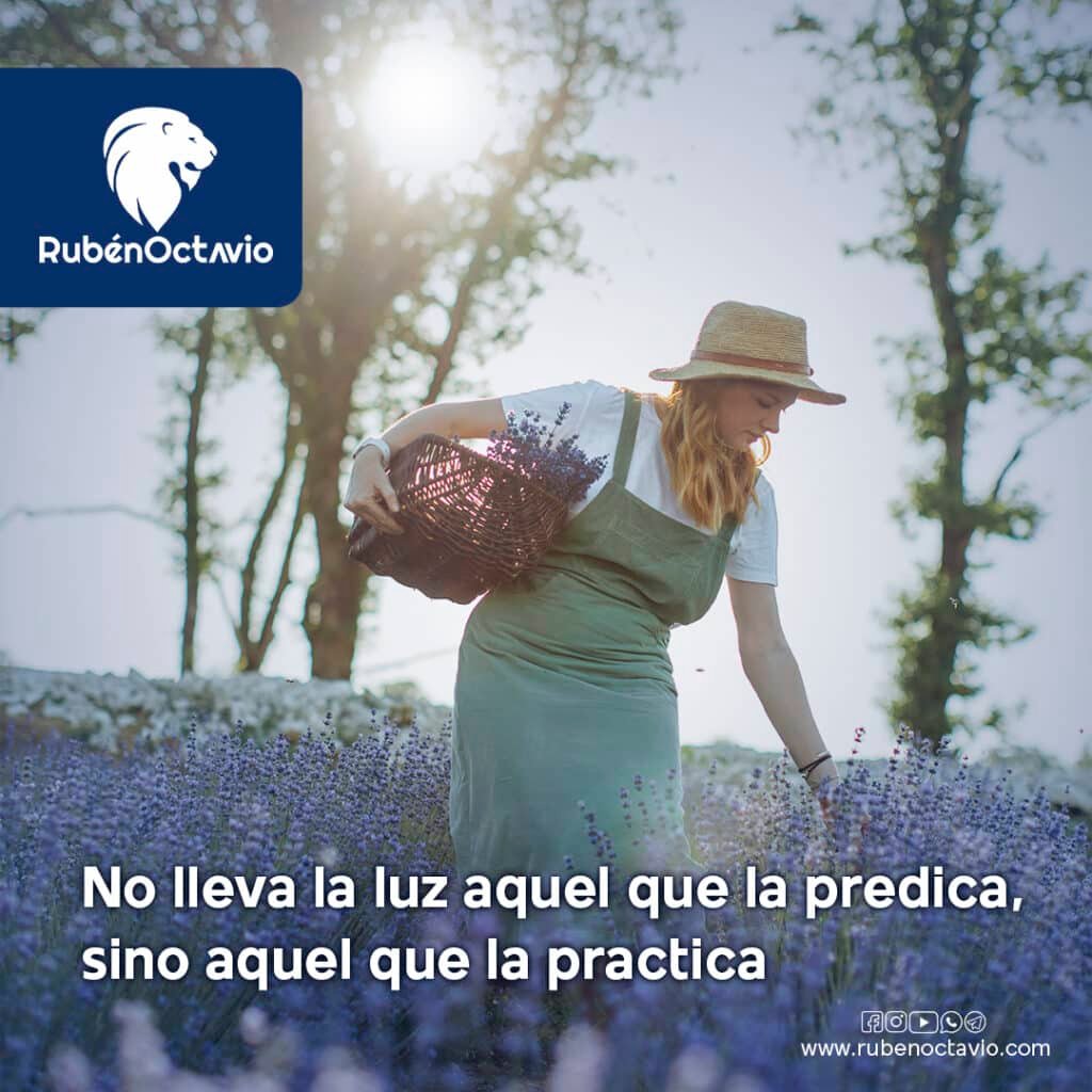 Mujer recogiendo flores en un campo iluminado por el sol, simbolizando la práctica de la luz interior.