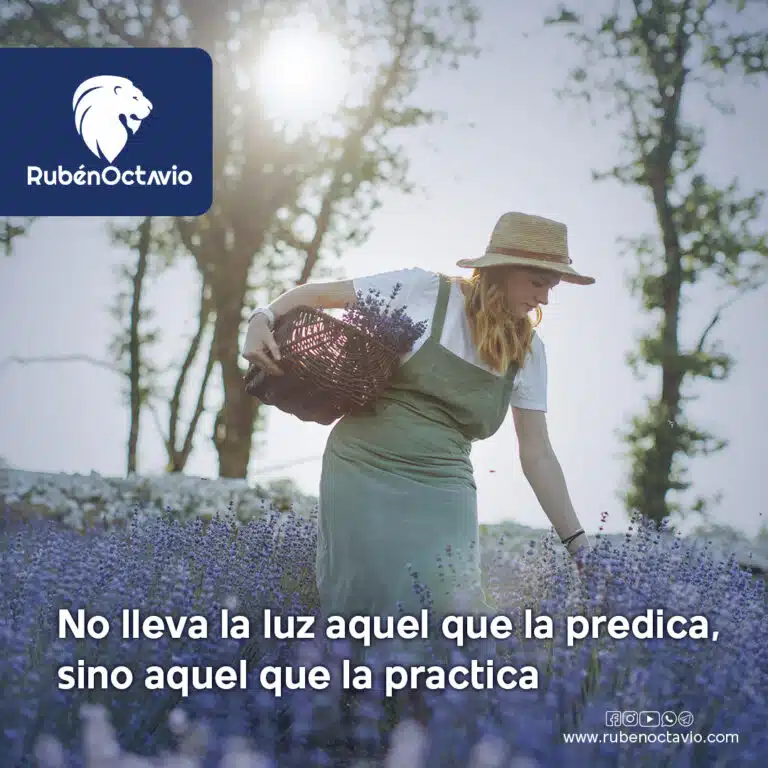 No lleva la luz aquel que la predica, sino aquel que la practica