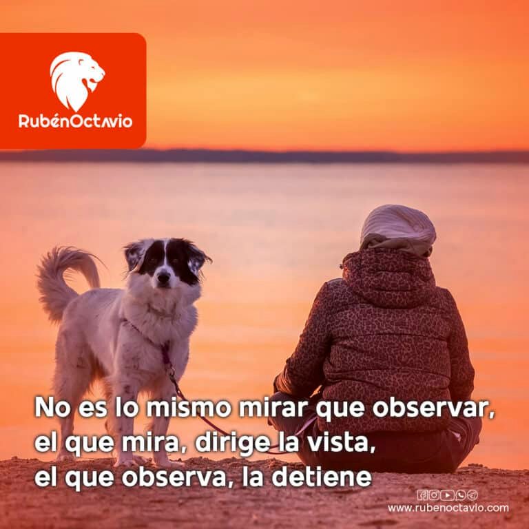 No es lo mismo mirar que observar, el que mira, dirige la vista; el que observa, la detiene