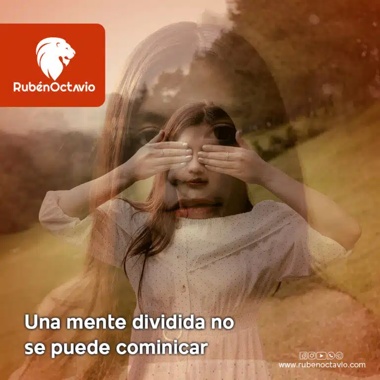 Una mente dividida no se puede comunicar
