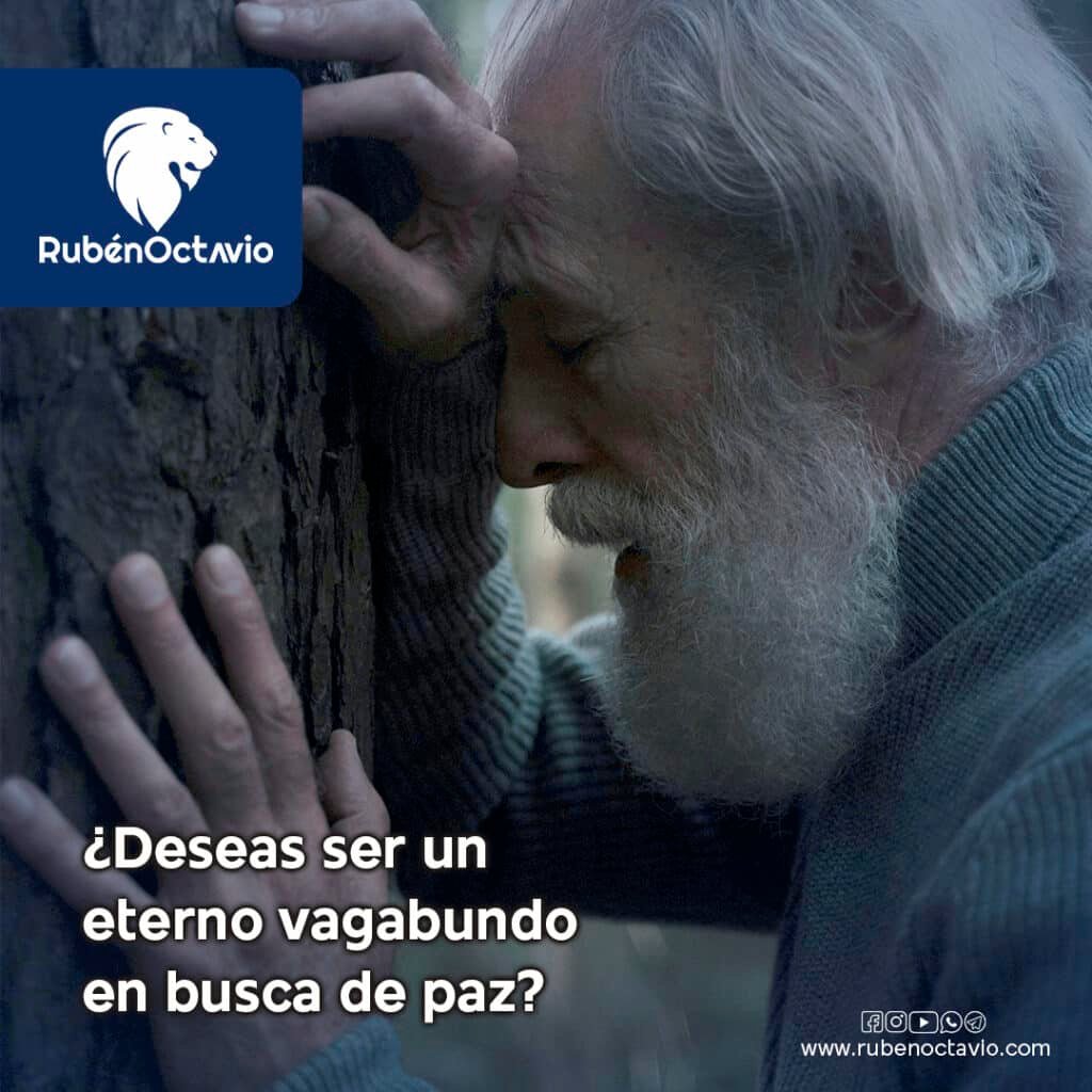 Hombre mayor apoyado en un árbol buscando paz interior