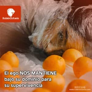 Reflexión sobre cómo el ego nos mantiene bajo su dominio y limita nuestra paz y felicidad.