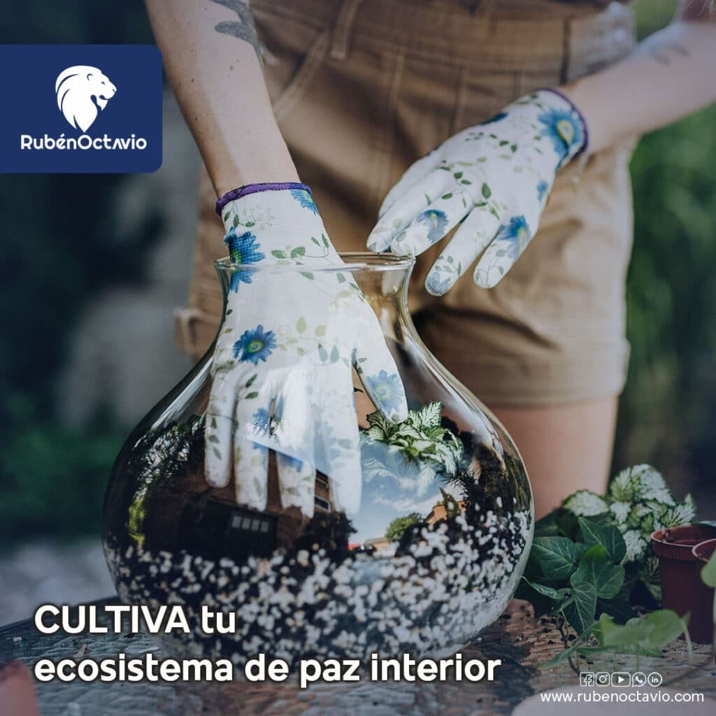 Manos con guantes de jardinería preparando un terrario, simbolizando el cultivo del ecosistema de paz interior.
