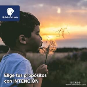 Niño soplando un diente de león al atardecer, simbolizando el poder de la intención.