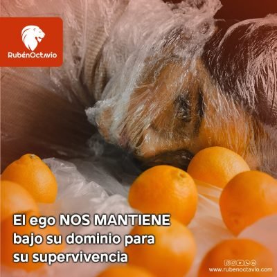 Reflexión sobre cómo el ego nos mantiene bajo su dominio y limita nuestra paz y felicidad.