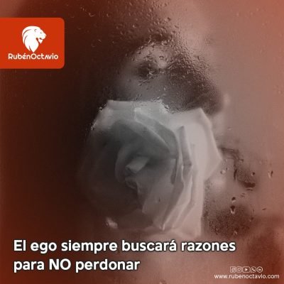Rosa detrás de un vidrio empañado, simbolizando el bloqueo emocional que el ego crea para evitar el perdón.