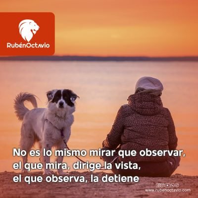 Persona sentada observando el atardecer junto a un perro, mensaje sobre observar con conciencia